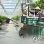 산불에도 농사는 계속, 청송서 외국인 계절근로자 78명 입국